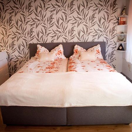 Gaestezimmer Im Gruenen Haus Apartment Thum Ngoại thất bức ảnh