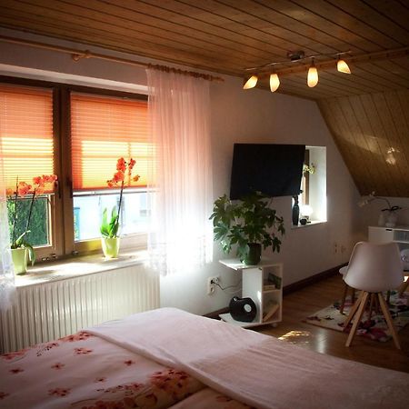 Gaestezimmer Im Gruenen Haus Apartment Thum Ngoại thất bức ảnh